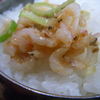 アミ塩辛をご飯にのせて