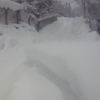 凄い雪ですよね。