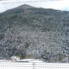 バスから見える帰り道沿いの風景。
