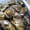 牡蠣どっさり！