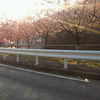 2010年　こひつじ保育園近く