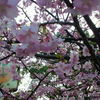 2010年　市民センター