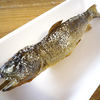岩魚の塩焼き：５００円