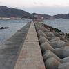 映画にも出た突堤・・・らしい
