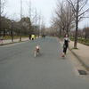 春の陽気に誘われジョギング