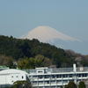 でも富士山がばっちり見えた！