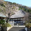 鎌倉行ったのに、桜はまだもうちょいでした