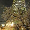 sakura2011