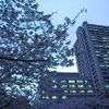 sakura2011