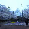 sakura2011