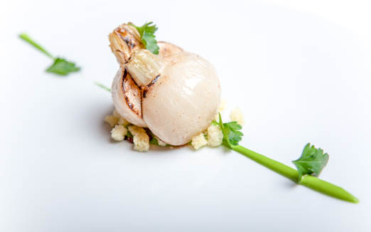 レフェルヴェソンス