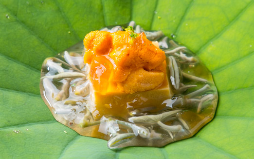 山玄茶