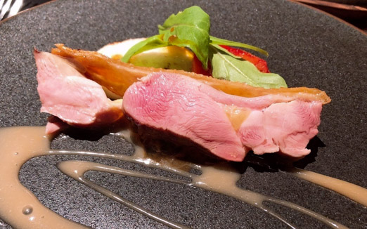 カモシヤ クスモト