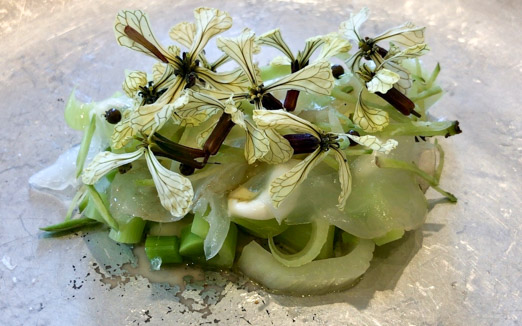 ヴィラ・アイーダ