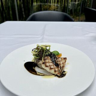 エルルカン・ビス