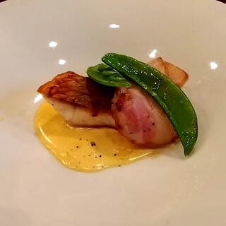 モンプチコションローズ