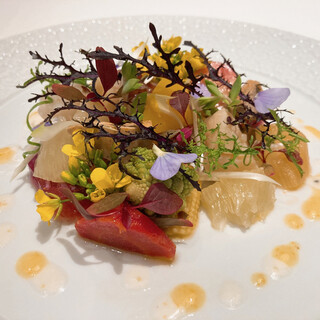 グランシャリオ