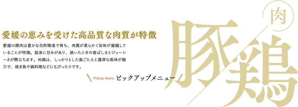 豚・鶏：愛媛の恵みを受けた高品質な肉質が特徴