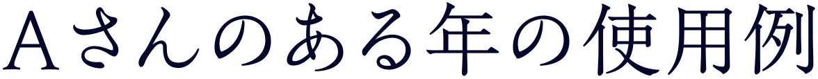 Aさんのある年の使用例