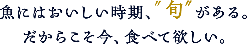 魚にはおいしい時期、″旬″がある。だからこそ今、食べて欲しい。