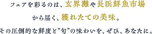 フェアを彩るのは、玄界灘や長浜鮮魚市場から届く、獲れたての美味。その圧倒的な鮮度と”旬”の味わいを、ぜひ、あなたに。