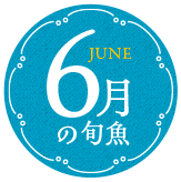 6月の旬魚