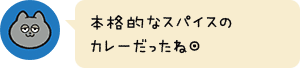 本格的なスパイスのカレーだったね◎