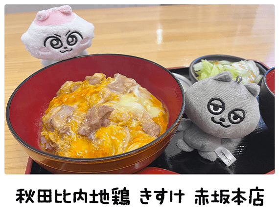 秋田比内地鶏 きすけ 赤坂本店