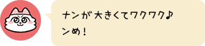 ナンが大きくてワクワク♪ンめ!
