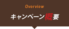 キャンペーン概要