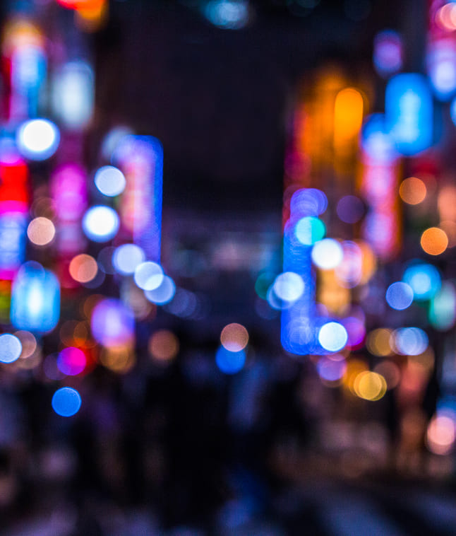 THE GINZA ICON