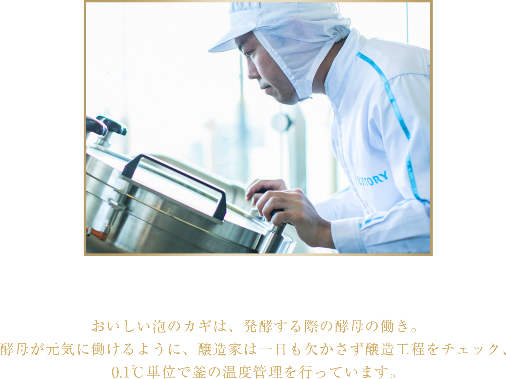 醸造家の五感と技術 おいしい泡のカギは、発酵する際の酵母の働き。酵母が元気に働けるように、醸造家は一日も欠かさず醸造工程をチェック、0.1℃単位で釜の温度管理を行っています。