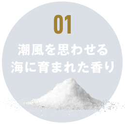 01 潮風を思わせる海に育まれた香り