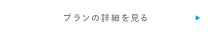 プランの詳細を見る