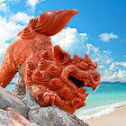 沖縄を感じるお店特集