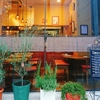 OSTERIA SALE E PEPE - メイン写真: