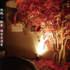 地鶏×鮮魚 個室居酒屋 もみじ香 - メイン写真: