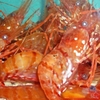 郷土料理 おが - メイン写真: