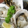 Oyster Bar ジャックポット - 料理写真:本日のおすすめ　生牡蠣３種盛り合せ