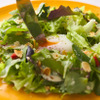 Wattle Tokyo - メイン写真: