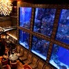 AQA RESTAURANT & BAR LUXIS - メイン写真: