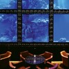 AQA RESTAURANT & BAR LUXIS - メイン写真: