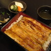うなぎ 仙見 - 料理写真:肉厚でふっくら感抜群！