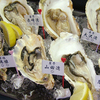牡蠣と魚 海宝 - メイン写真: