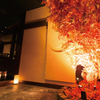 Jidori Sengyo Koshitsu Izakaya Momiji Tei - メイン写真: