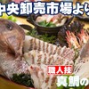 魚河岸料理 ざこば - メイン写真: