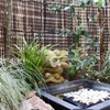 〇赤坂 VIP - メイン写真: