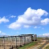 米蔵 - メイン写真: