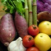 かがやきダイナー - 料理写真:高知のお野菜はうまい！！