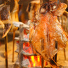 Shunsai Sumibi Yaki Tamagawa - メイン写真: